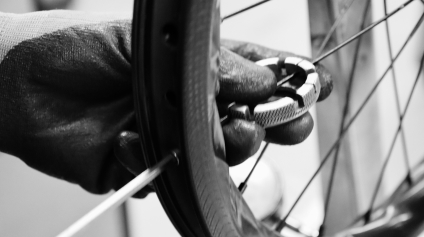 newsletter-light-bicycle-custom-wheel-building-program